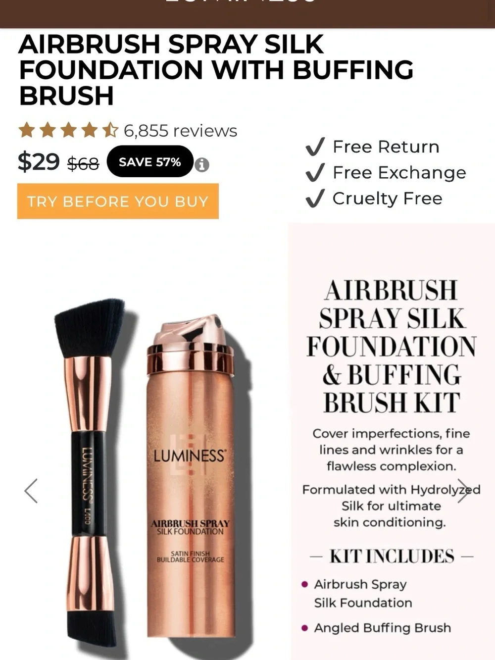 Luminess Black & Gold Refillable Beauty Pouch